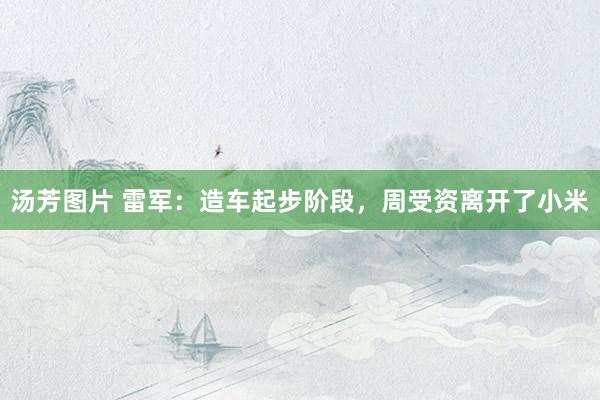 汤芳图片 雷军:造车起步阶段,周受资离开了小米