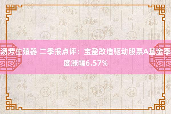 汤芳生殖器 二季报点评：宝盈改造驱动股票A基金季度涨幅6.57%