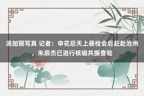 汤加丽写真 记者：申花后天上昼检会后赶赴沧州，朱辰杰已进行核磁共振查验