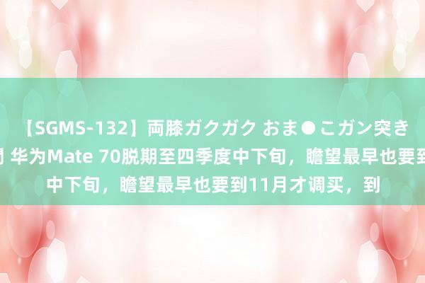 【SGMS-132】両膝ガクガク おま●こガン突き 立ちバック5時間 华为Mate 70脱期至四季度中下旬,瞻望最早也要到11月才调买,到