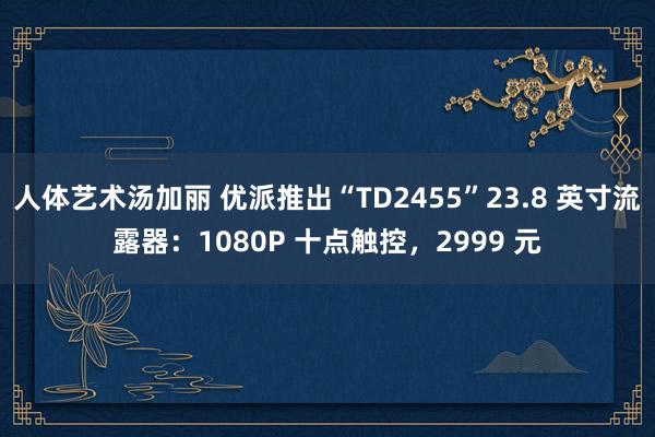 人体艺术汤加丽 优派推出“TD2455”23.8 英寸流露器：1080P 十点触控，2999 元