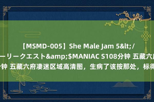 【MSMD-005】She Male Jam 5</a>2008-08-04グローリークエスト&$MANIAC S108分钟 五藏六府凄迷区域高清图，生病了该按那处，标得一清二楚，超实用