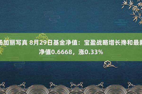汤加丽写真 8月29日基金净值：宝盈战略增长搀和最新净值0.6668，涨0.33%