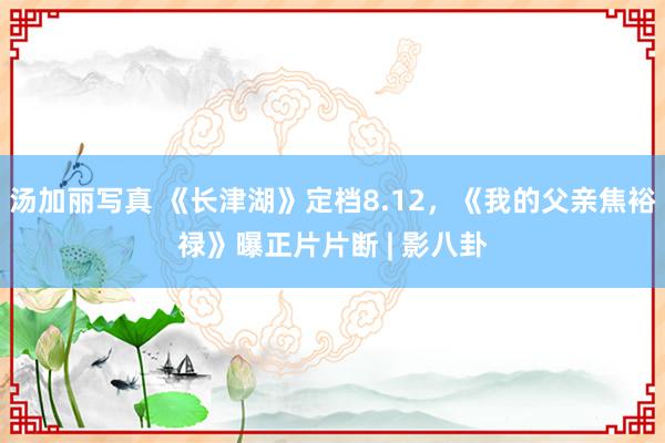 汤加丽写真 《长津湖》定档8.12，《我的父亲焦裕禄》曝正片片断 | 影八卦