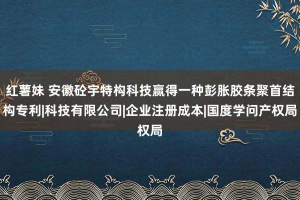 红薯妹 安徽砼宇特构科技赢得一种彭胀胶条聚首结构专利|科技有限公司|企业注册成本|国度学问产权局