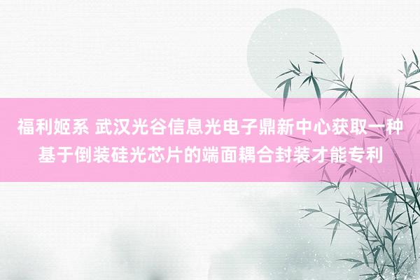 福利姬系 武汉光谷信息光电子鼎新中心获取一种基于倒装硅光芯片的端面耦合封装才能专利