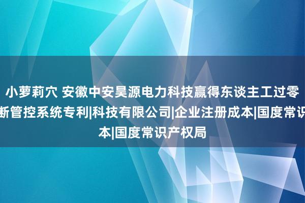 小萝莉穴 安徽中安昊源电力科技赢得东谈主工过零快速开断管控系统专利|科技有限公司|企业注册成本|国度常识产权局