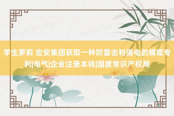 学生萝莉 宏安集团获取一种防雷击和强电的蝶缆专利|电气|企业注册本钱|国度常识产权局