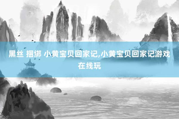 黑丝 捆绑 小黄宝贝回家记，小黄宝贝回家记游戏在线玩