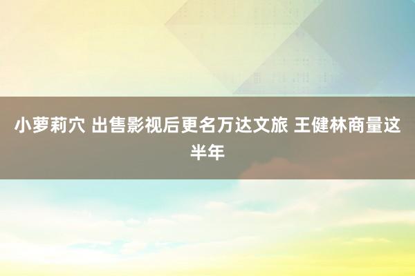小萝莉穴 出售影视后更名万达文旅 王健林商量这半年
