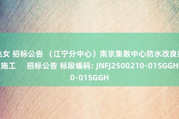 色色女 招标公告 （江宁分中心）南京集散中心防水改良技俩施工     招标公告 标段编码: JNFJ2500210-01SGGH