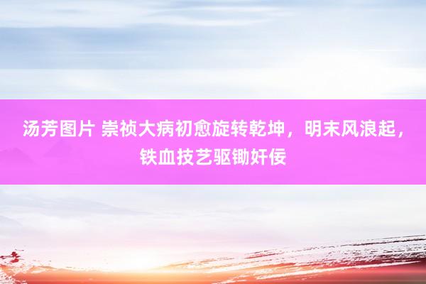 汤芳图片 崇祯大病初愈旋转乾坤，明末风浪起，铁血技艺驱锄奸佞