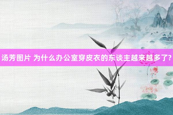 汤芳图片 为什么办公室穿皮衣的东谈主越来越多了?