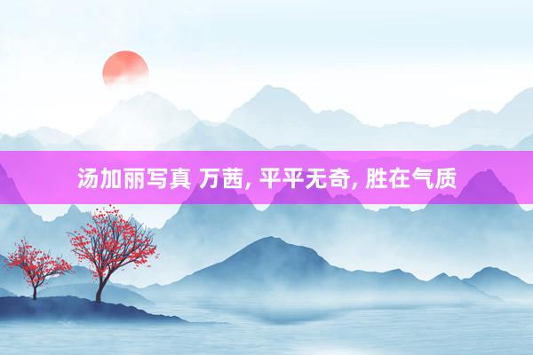 汤加丽写真 万茜， 平平无奇，<a href=