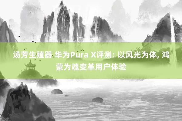 汤芳生殖器 华为Pura X评测: 以风光为体， 鸿蒙为魂变革用户体验