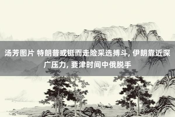 汤芳图片 特朗普或铤而走险采选搏斗， 伊朗靠近深广压力， 要津时间中俄脱手