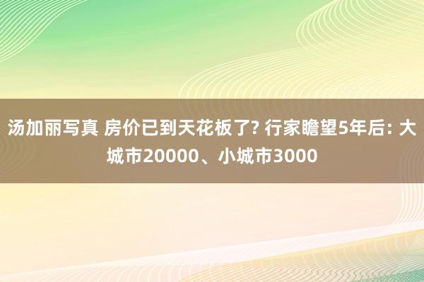 汤加丽写真 房价已到天花板了? 行家瞻望5年后: 大城市20000、小城市3000