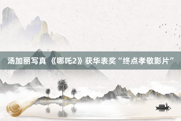 汤加丽写真 《哪吒2》获华表奖“终点孝敬影片”