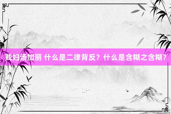 贱妇汤加丽 什么是二律背反？什么是含糊之含糊？