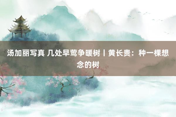 汤加丽写真 几处早莺争暖树丨黄长贵：种一棵想念的树