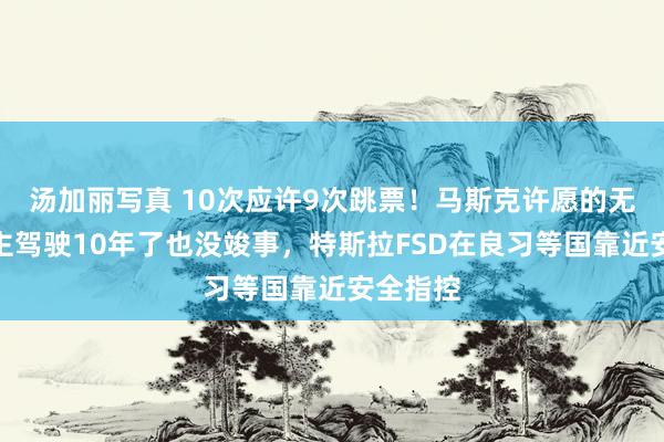 汤加丽写真 10次应许9次跳票！马斯克许愿的无东说念主驾驶10年了也没竣事，特斯拉FSD在良习等国靠近安全指控