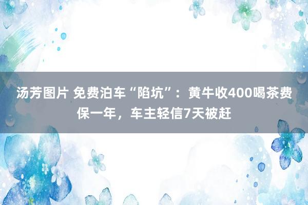 汤芳图片 免费泊车“陷坑”：黄牛收400喝茶费保一年，车主轻信7天被赶